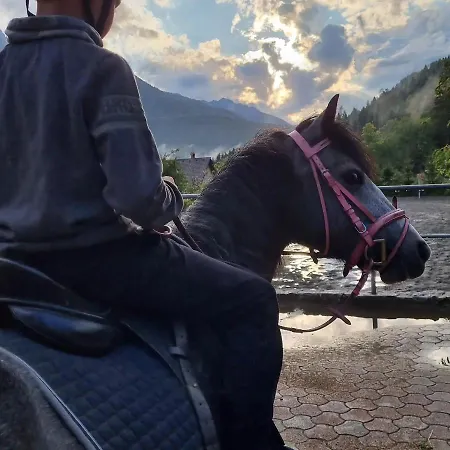 Sport & Sunny Cosy Alpine Retreat