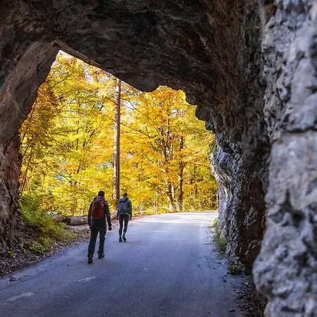 Sport & Sunny Cosy Alpine Retreat 公寓 *