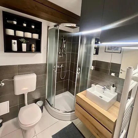 Sport & Sunny Cosy Alpine Retreat 公寓 克拉尼斯卡戈拉