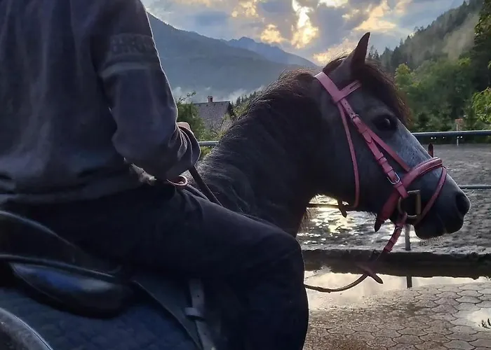 Sport & Sunny Cosy Alpine Retreat