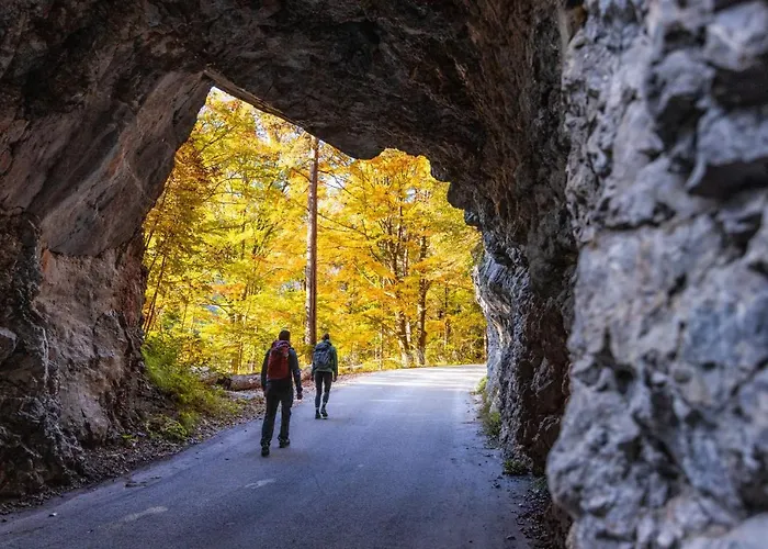 Sport & Sunny Cosy Alpine Retreat Daire *