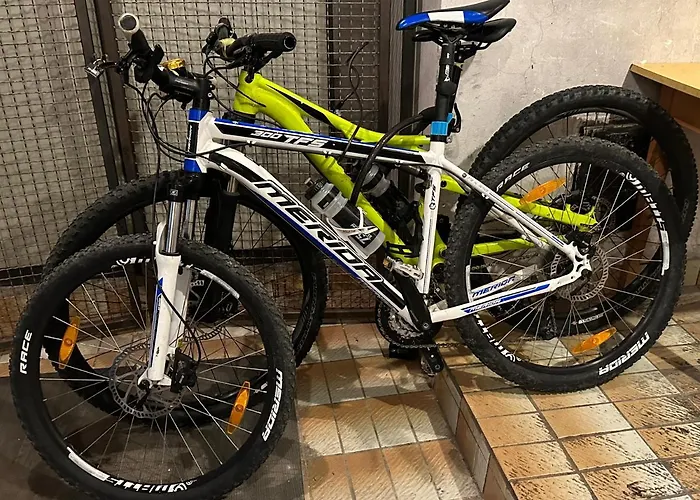 Sport & Sunny Cosy Alpine Retreat Daire Kranjska Gora